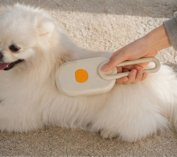 Brosse 3 en 1 pour chats et chiens